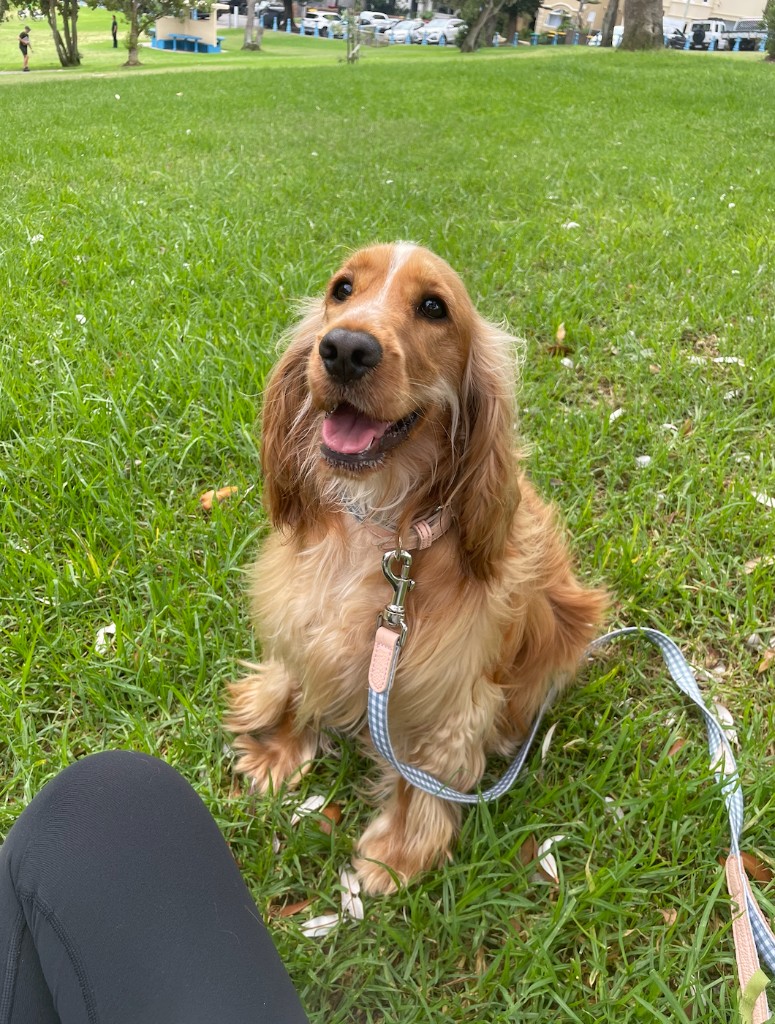 Penny at the park